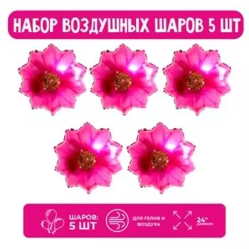 Набор шар фольгированный 24" "Розовая гербера"; 5 шт.