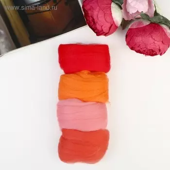 Набор шерсти для валяния "Ассорти № 3" 100% меринос.шерсть 4х10 гр