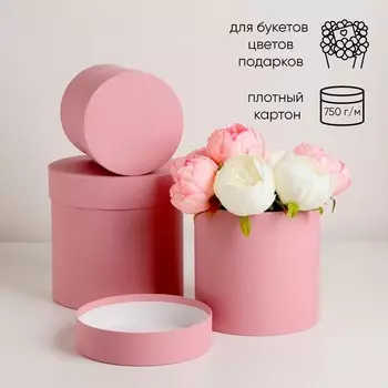 Набор шляпных коробок 3 в 1 "Пудра", 18 18 13 13 см