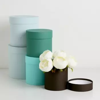 Набор шляпных коробок 5 в 1" Гармония" , 20 х 20 - 14 х 14 см