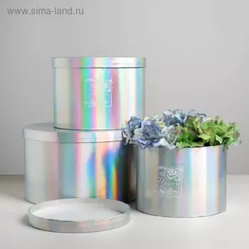 Набор шляпных коробок для цветов 3 в 1 с голографией «Чудесные цветы», 18 × 13 см - 25 × 15 см