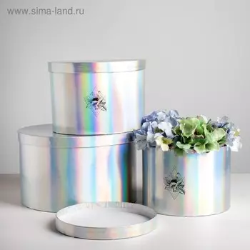 Набор шляпных коробок для цветов 3 в 1 с голографией «Геометрия», 18 × 13 см - 25 × 15 см