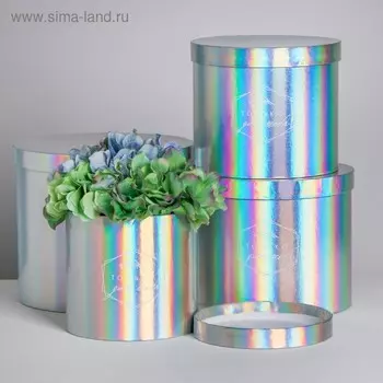 Набор шляпных коробок для цветов 4 в 1 с голографией «Только для тебя», 14 × 13 см - 20 × 17,5 см