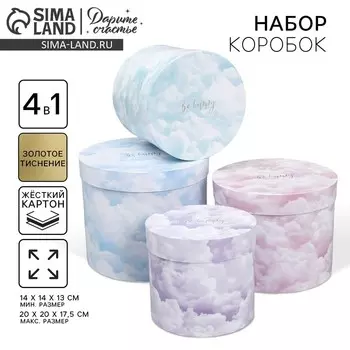 Набор шляпных коробок для цветов 4 в 1, упаковка подарочная, «Облака», 14 х 14 х 13 см - 20 х 20 х 17.5 см