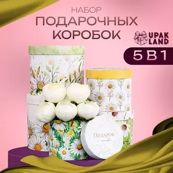 Набор шляпных коробок для цветов 5 в 1, упаковка подарочная, «Ромашки», 1614 см - 2219.5 см