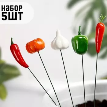 Набор штекеров "Овощи" 5шт, 3х25см