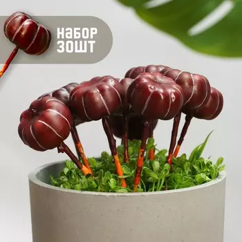 Топперы для творчества TAKE IT EASY «Тыковка», набор 30 шт., в цветы, кашпо, 42 см