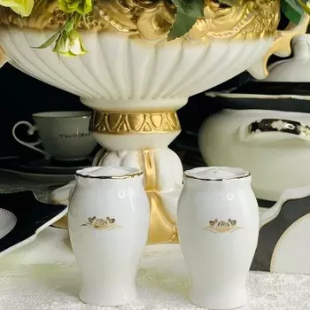 Набор солонок Lenardi Rich