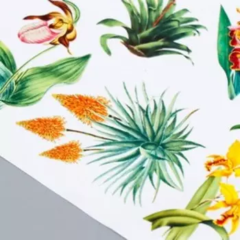 Набор стикеров "Botany exotic" 10 шт