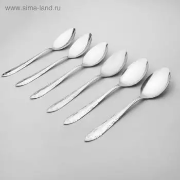 Набор столовых ложек из нержавеющей стали «Общепит», толщина 0,7 мм, длина 19 см, 6 шт, серебряный
