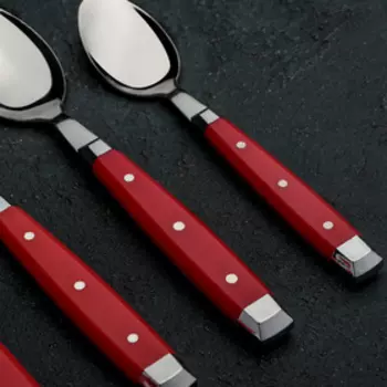 Набор столовых приборов «Аппетит», 24 предмета, на пластиковой подставке, цвет ручек красный