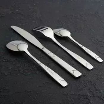 Набор столовых приборов из нержавеющей стали Доляна, 24 предмета, на 6 персон, цвет серебряный