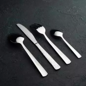 Набор столовых приборов Доляна, 24 предмета, в коробке, цвет серебряный