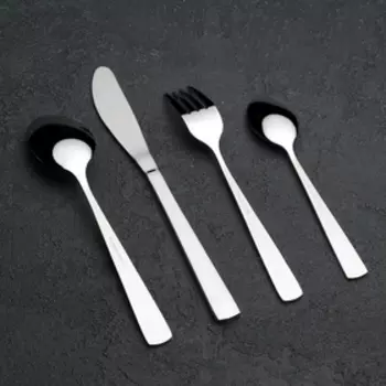 Набор столовых приборов «Эстет», 24 предмета, цвет серебряный