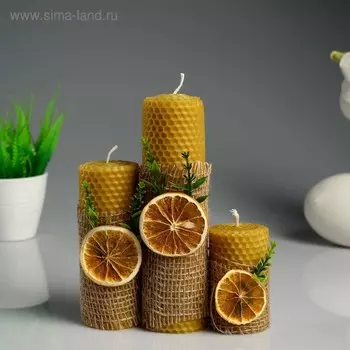 Набор свечей из вощины "Классика" медовые, с апельсином, 3 шт