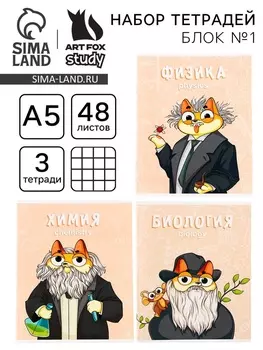 Тетради предметные, 48 л., А5, набор из 3 шт. «КОТэ»
