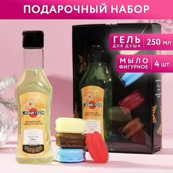 Набор «Богатства»: гель для душа, аромат цитрус, 250мл; мыло-макарун, 4 шт.