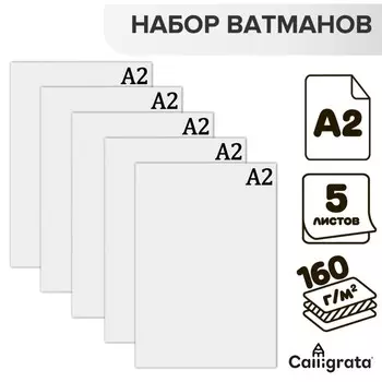 Набор ватманов чертёжных А2, 160 г/м, 5 листов