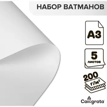 Набор ватманов чертёжных А3, 200 г/м, 5 листов