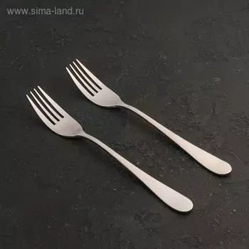 Набор вилок столовых из нержавеющей стали Wilmax Stella, h=20 см, 2 шт, цвет серебряный
