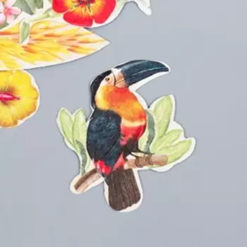 Набор высечек "Botany exotic flowers" 54 шт