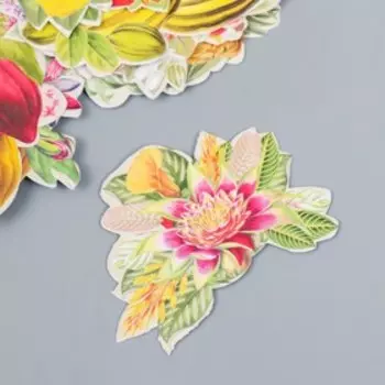 Набор высечек "Botany exotic fruits" 54 шт