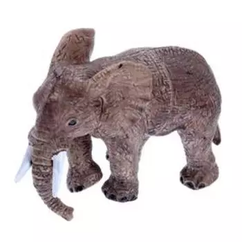 Набор животных «Дикие»