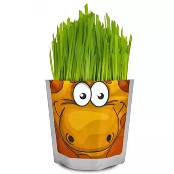 Наборы для выращивания Happy Plant «Жираф»
