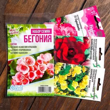 Наборы Семян цветов Бегония "Хит Продаж", 3 сорта