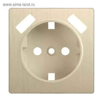 Накладка для USB розетки WL10-USB-CP, цвет шампань