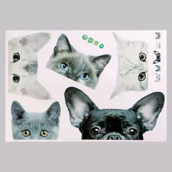 Интерьерная наклейка 3Д TAKE IT EASY «Домашние питомцы подглядывают», 5742 см