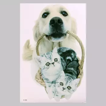 Интерьерная наклейка 3Д TAKE IT EASY «Домашние питомцы пришли», 5740 см