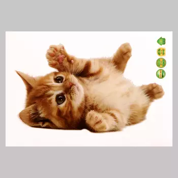 Интерьерная наклейка 3Д TAKE IT EASY «Котик рыжий», 2921 см