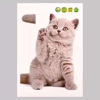 Интерьерная наклейка 3Д TAKE IT EASY «Котик: первый», 2921 см