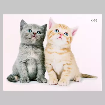 Интерьерная наклейка 3Д TAKE IT EASY «Котики милые», 2921 см