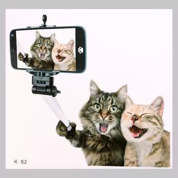 Интерьерная наклейка 3Д TAKE IT EASY «Котики селфятся», 3030 см