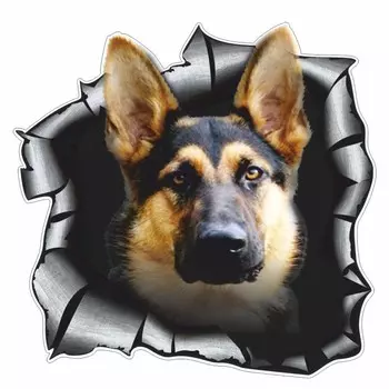 Наклейка на авто "Разлом. Овчарка", 250 х 250 мм