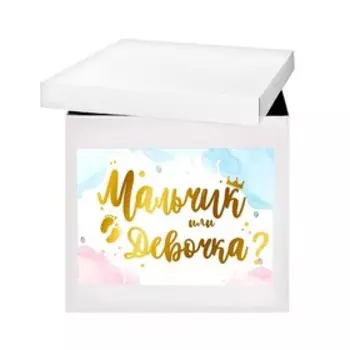 Наклейка на коробку-сюрприз «Мальчик или девочка», 42х30 см