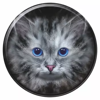 Наклейка на запасное колесо Кошка, 56 х 56 см