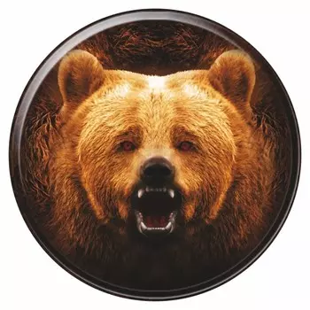 Наклейка на запасное колесо Медведь, 56 х 56 см