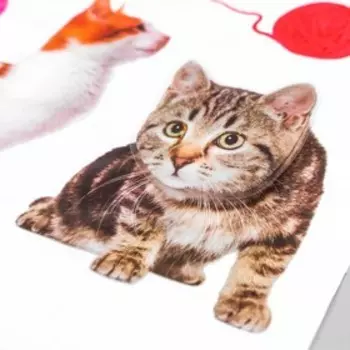 Наклейка пластик 2D "Кошки" 54х35,5 см