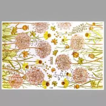 Наклейка пластик интерьерная цветная "Поле одуванчиков" 60х90 см