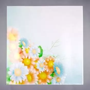 Наклейка пластик интерьерная цветная "Ромашки" 58х60 см