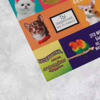 Наклейки бумажные «Бесишь», 11 × 15,5 см