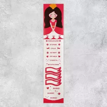 Наклейки бумажные для ежедневника «Принцесса», 423 см