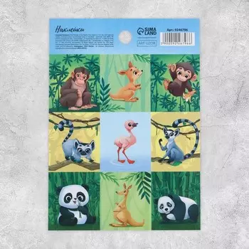 Наклейки бумажные «Джунгли» , 11 15,5 см