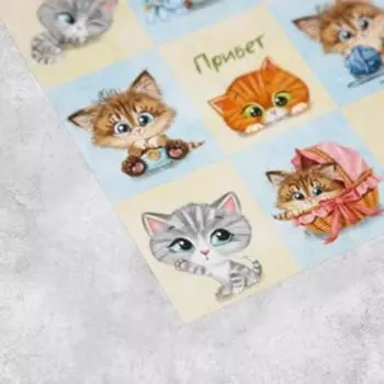 Наклейки детские бумажные «Котята», c раскраской на обороте, 11 х 15.5 см