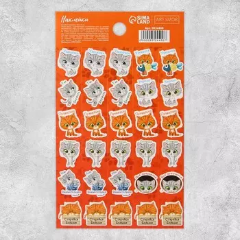 Наклейки бумажные оценки «Милый котик», 10.5 18 см