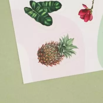 Наклейки бумажные «Тропики», 14 × 21 см