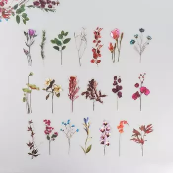 Наклейки для творчества пластик PVC "Флора" набор 40 шт 9х10.5 см
